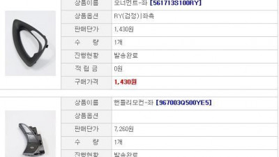 YF 오토 크루즈 구매 리스트